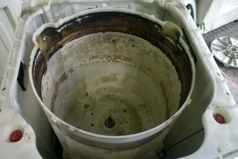 Không vệ sinh máy giặt định kỳ