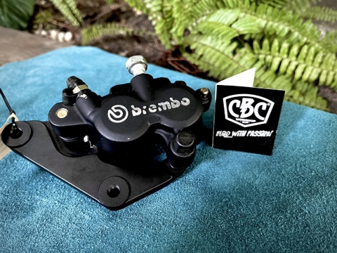 Heo BREMBO TRIUMPH tháo xe 95%