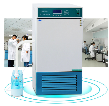 Tủ sinh trưởng RGX-250B (Tủ môi trường)