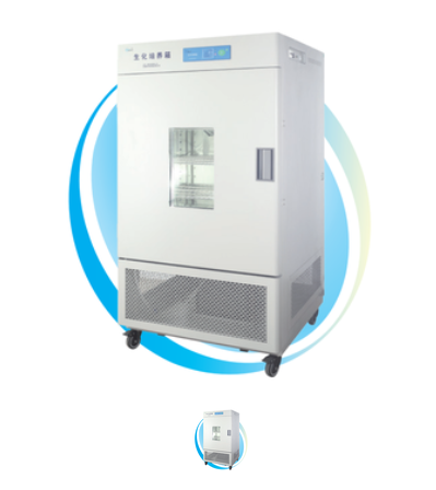 Tủ ấm sinh hóa LRH-150F