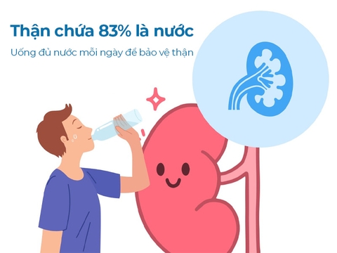 Uống Gì Tốt Cho Thận? Bí Quyết Bảo Vệ Thận Khỏe Mạnh