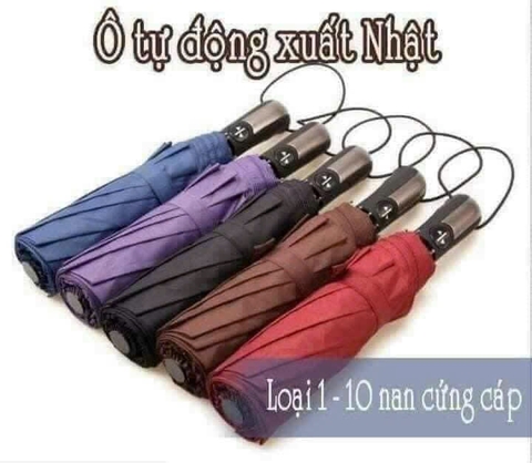 Ô , DÙ TỰ ĐỘNG ĐÓNG MỞ 10 NAN