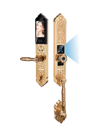 Khóa vân tay cửa đại sảnh HM-909 Face ID cao cấp