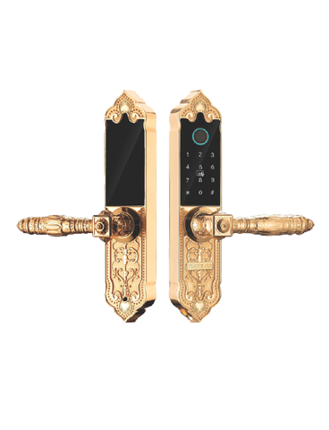 Khóa vân tay cửa đại sảnh HUMMER HM-R969