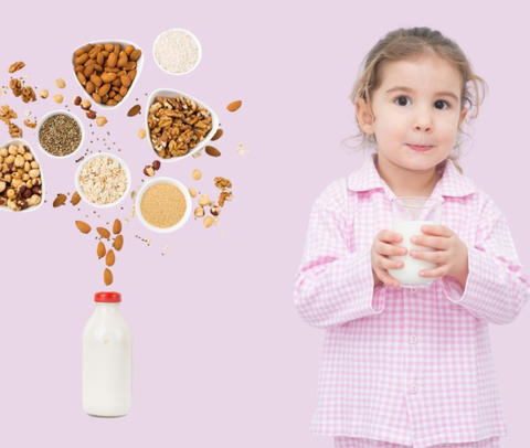 TOP 5 CÔNG THỨC SỮA HẠT MIX RAU CỦ TỐT NHẤT CHO BÉ