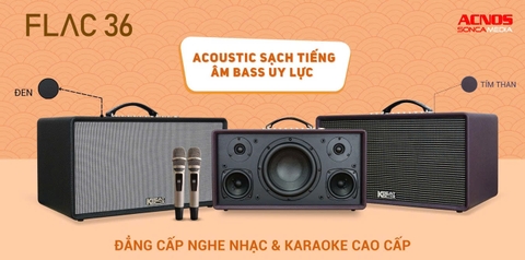 Tại sao nên mua loa ACNOS FLAC 36?