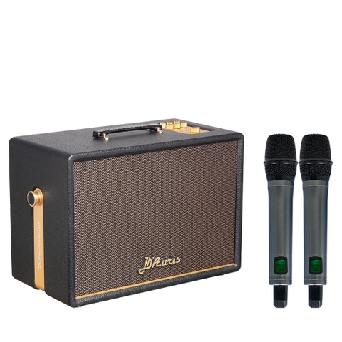 Loa Karaoke ACNOS D'Auris 300