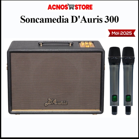 Loa Karaoke ACNOS D'Auris 300