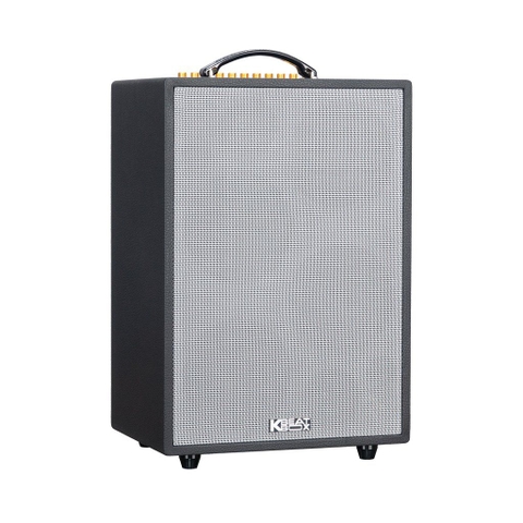 Loa Karaoke SONCAMEDIA ePOP 100