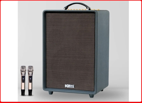 Loa Acnos HIGH FIDELITY