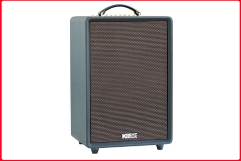 Loa ACNOS HIGH FIDELITY PRO