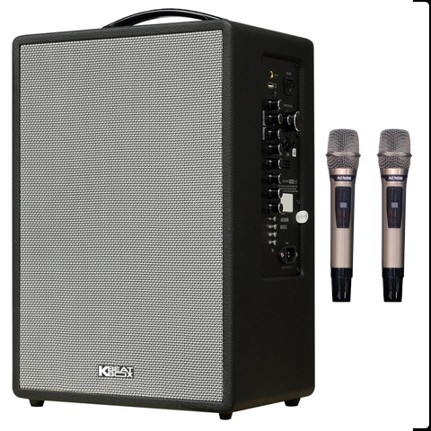 Loa Karaoke ACNOS CS201V