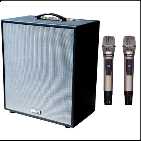 Loa Karaoke ACNOS CS550 Luxury