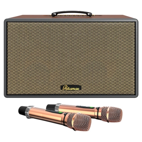 Loa karaoke PARAMAX Saga