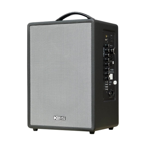 Loa Karaoke SONCAMEDIA CS201Q