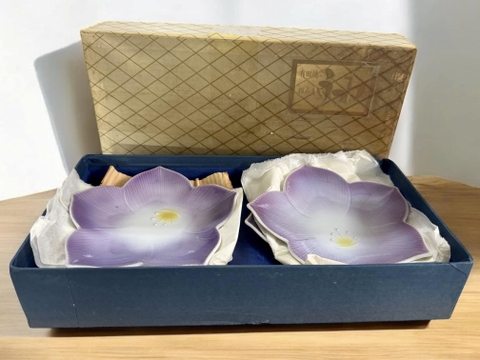 Set 5 đĩa hoa tím