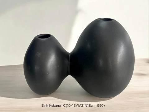 Bình Ikebana