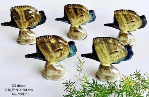 Cá decor