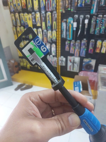 Tô vít 2 cạnh có từ tính ANEX No.7700-6x100