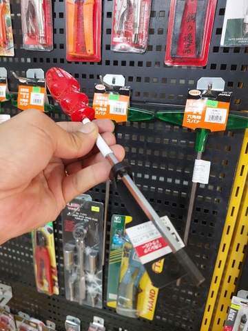 Tô vít lục giác ANEX No.6600-H6x170