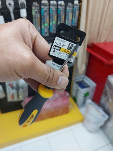 Tô vít hoa thị có lỗ ANEX No.6300-T10x80