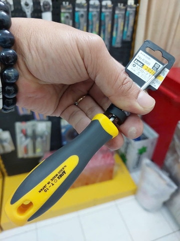 Tô vít hoa thị có lỗ ANEX No.6300-T10x80