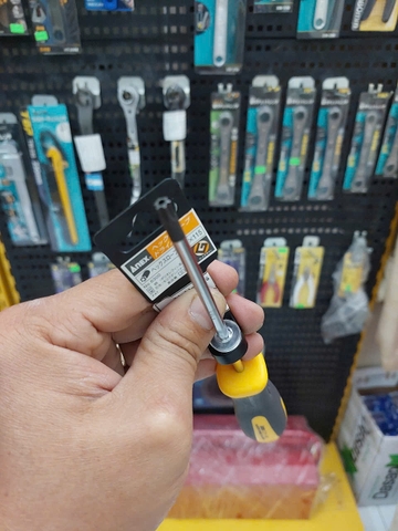 Tô vít hoa thị có lỗ ANEX No.6300-T27x115