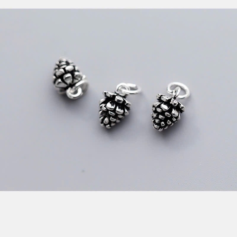 charm bạc quả thông rừng