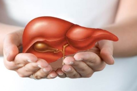 Những sai lầm về thải độc gan hàng triệu người Việt mắc phải