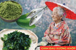 Học người Nhật bí quyết giảm đau xương khớp được truyền qua hàng trăm năm