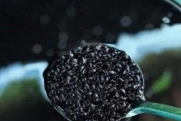 Người suy thận nên uống gì? 4 loại đồ uống dễ làm tại nhà