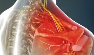 BẤM HUYỆT PHONG PHỦ MỖI NGÀY ĐỂ MẠNH KHỎE SỐNG LÂU.