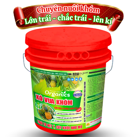 Xô Vua Khóm 22kg