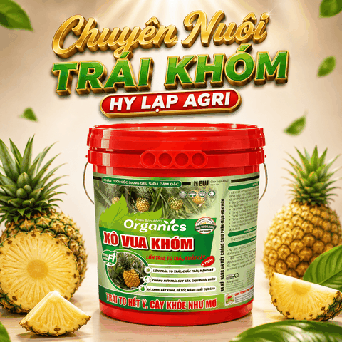 Xô Vua Khóm 22kg