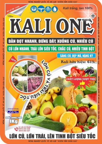 Kali One 61%