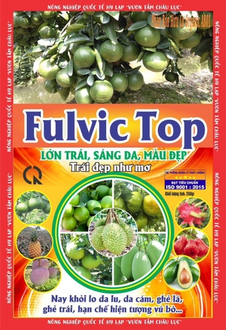 Fulvic Top 250gr