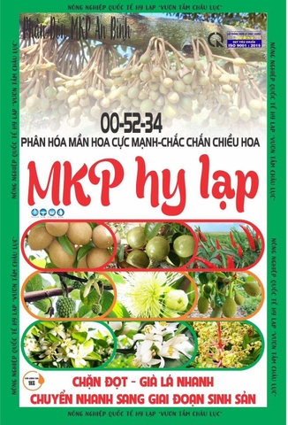 Chặn Đọt, Tạo Mầm 0-52-34 1kg