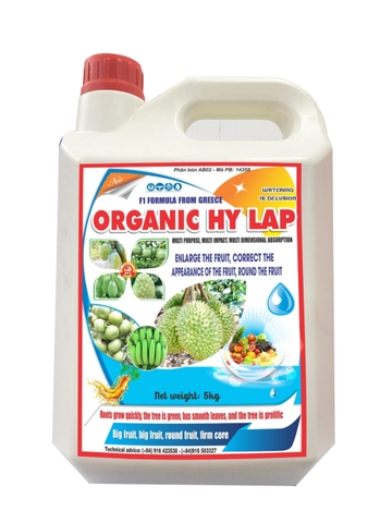 Can organic Hy Lạp 5kg