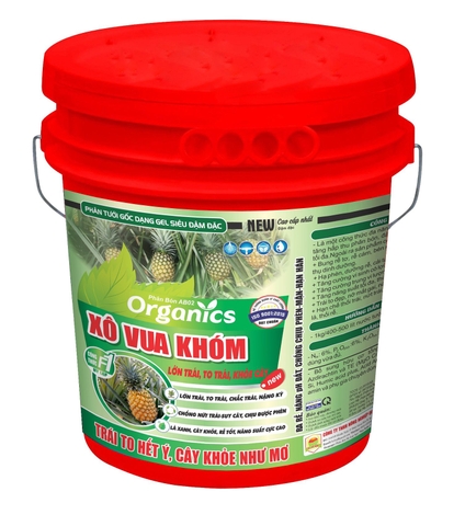 Xô Vua Khóm 22kg