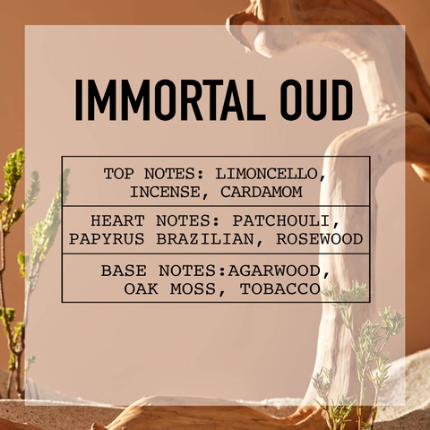 Tinh Dầu Nước Hoa Cao Cấp Nomad Fine Fragrance Oil - Immortal Oud