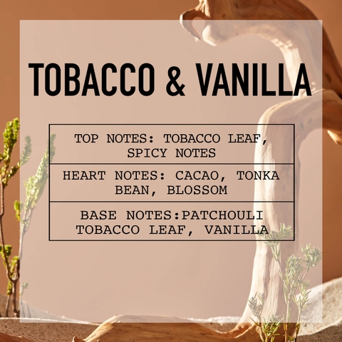 Tinh Dầu Nước Hoa Cao Cấp Nomad Fine Fragrance Oil - Tobacco & Vanilla