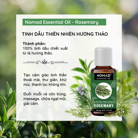 Tinh Dầu Hương Thảo Nomad Essential Oil Rosemary