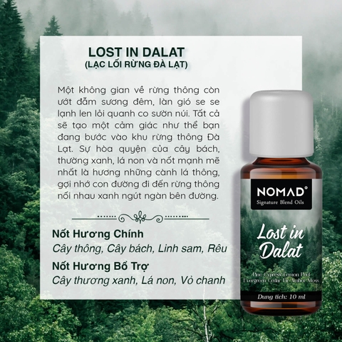 Tinh Dầu Nomad Signature Blend Oils - Lost In Dalat