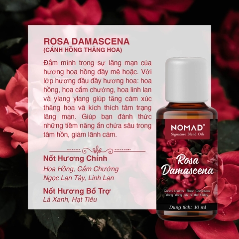 Tinh Dầu Nomad Signature Blend Oils - Rosa Damascena