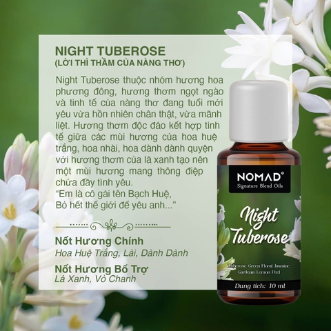 Tinh Dầu Nomad Signature Blend Oils - Night Tuberose