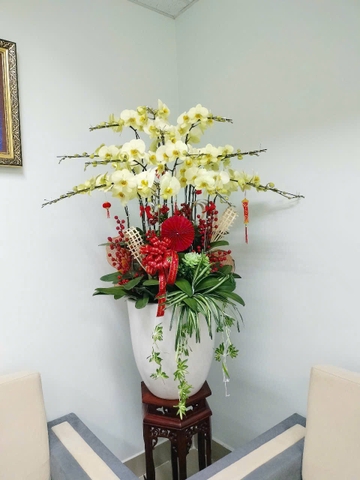 Chậu Lan Hồ Điệp - CLHĐ4