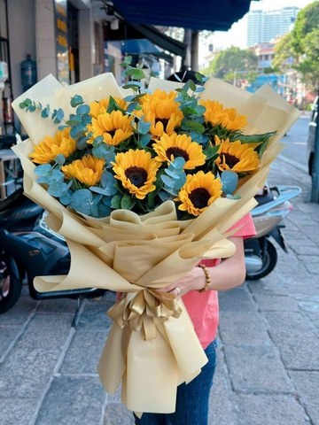 Bó Hướng Dương - BHD1
