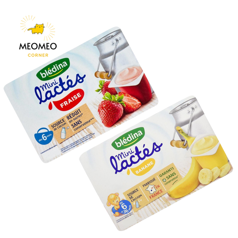 Sữa chua nguội Bledina cho bé từ 6 tháng tuổi của Pháp