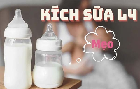 Kích sữa L4 là gì? Lịch hút sữa L4 hiệu quả giúp mẹ tiết kiệm thời gian
