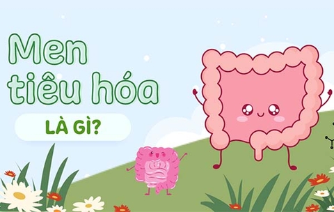 Men tiêu hóa có tác dụng gì? Liều dùng, phân biệt với men vi sinh